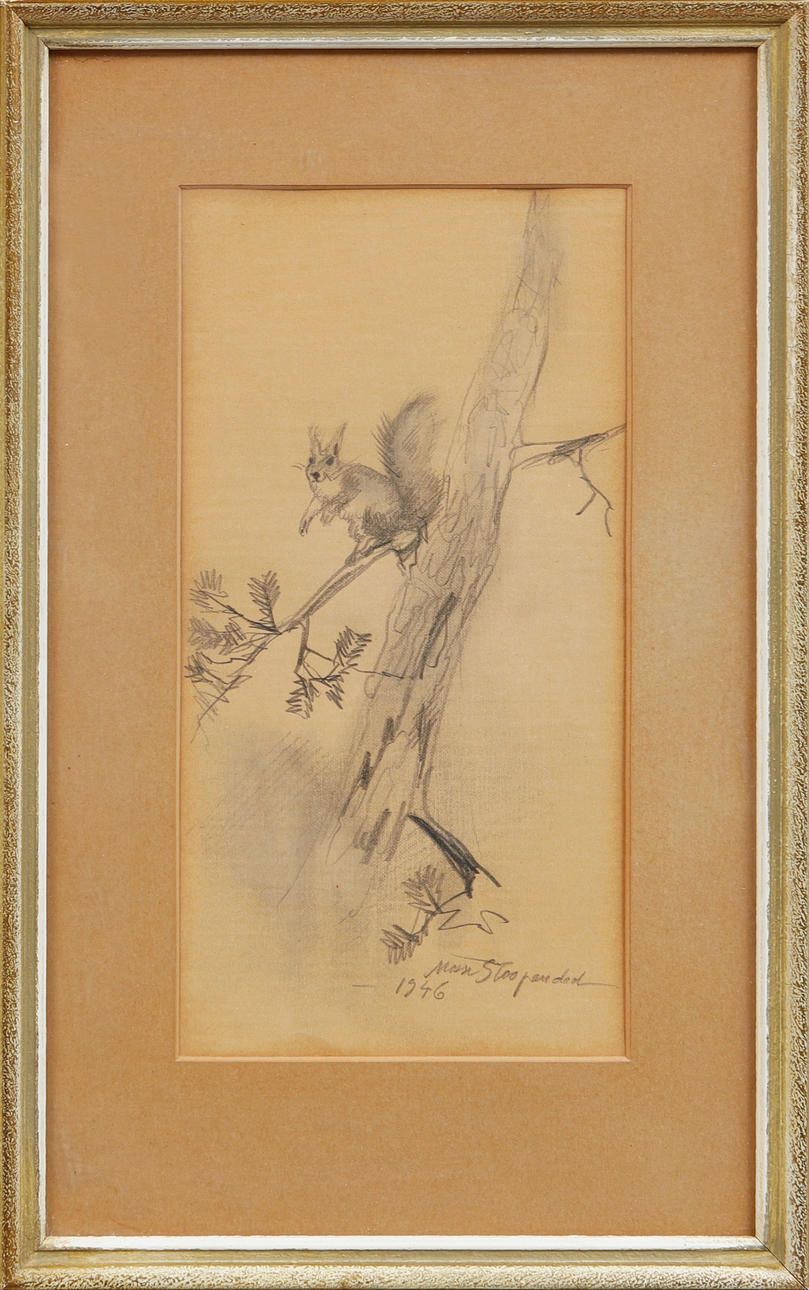 MOSSE STOOPENDAAL. Squirrel on tree branch, Drawing, signed and dated 1946.