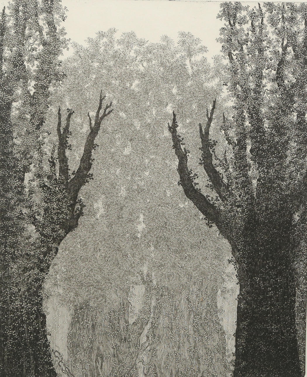 MAUD COMSTEDT. etching, signed and H.C. Edition 100.