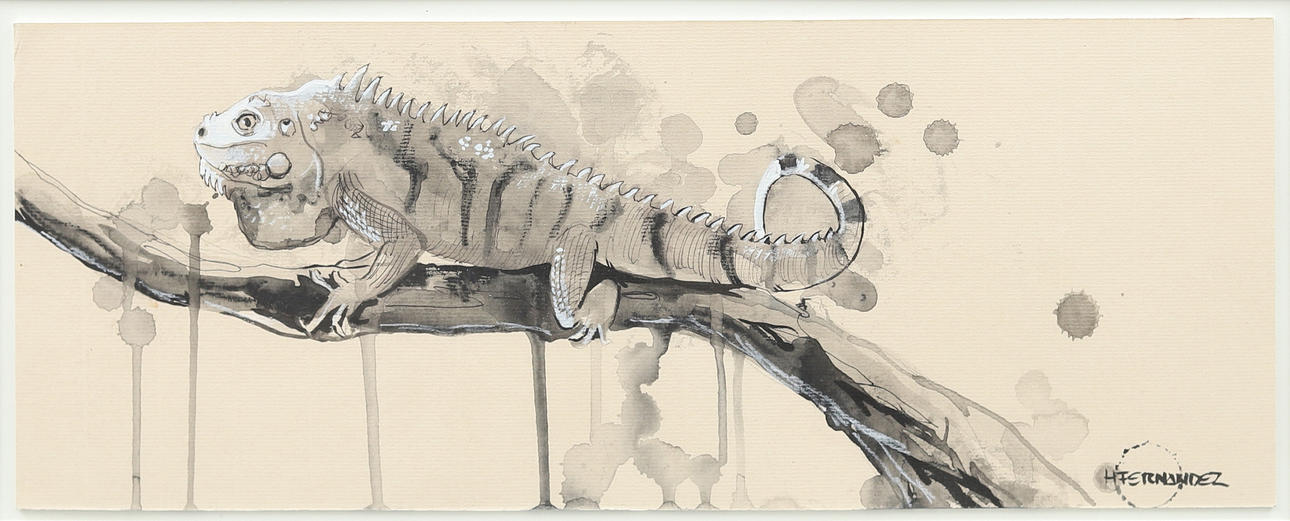 HECTOR FERNANDEZ. Lizard, watercolor, signed.