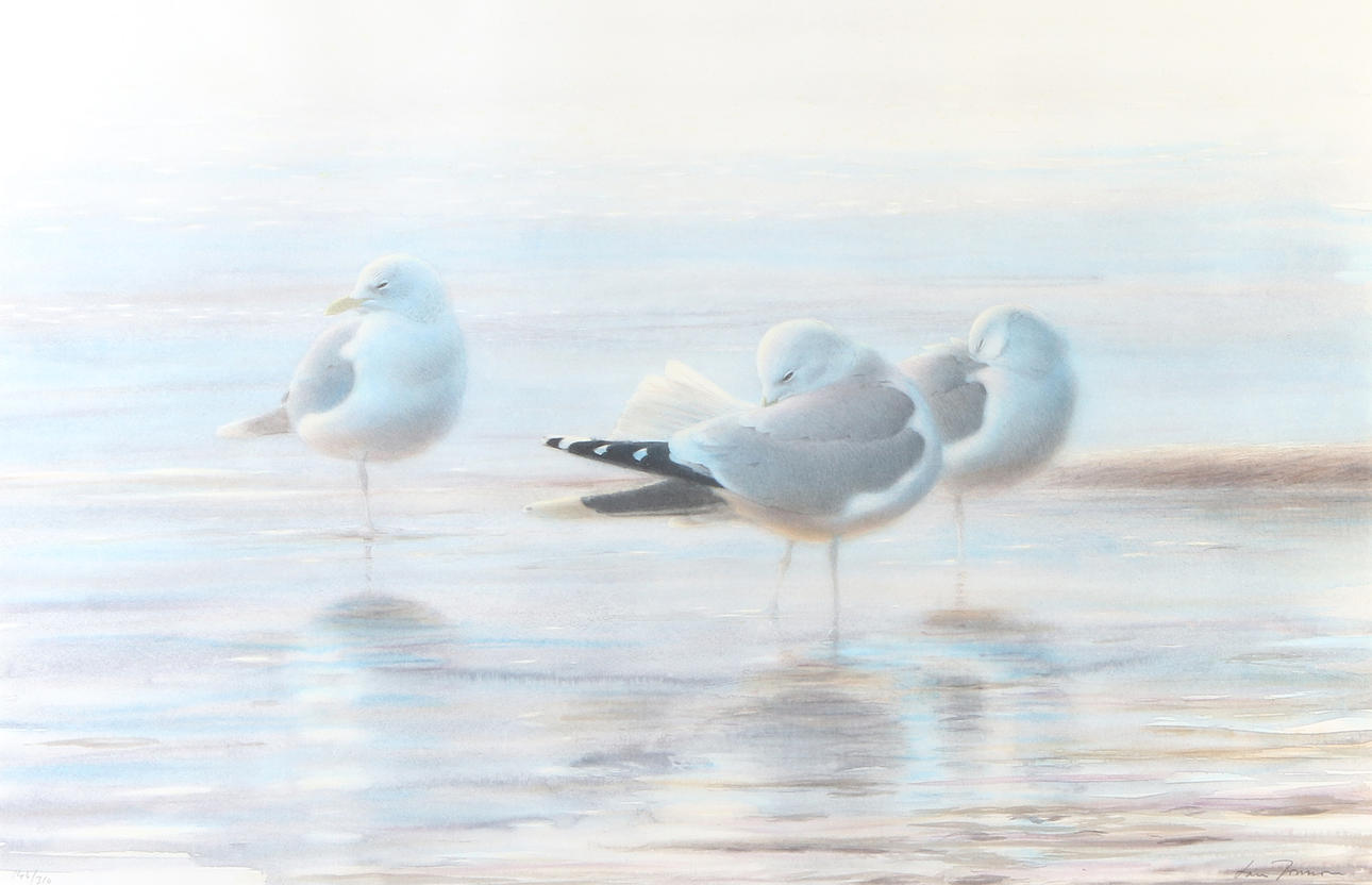 LARS JONSSON. Lithography, 146/310. Seagull birds. Signed.