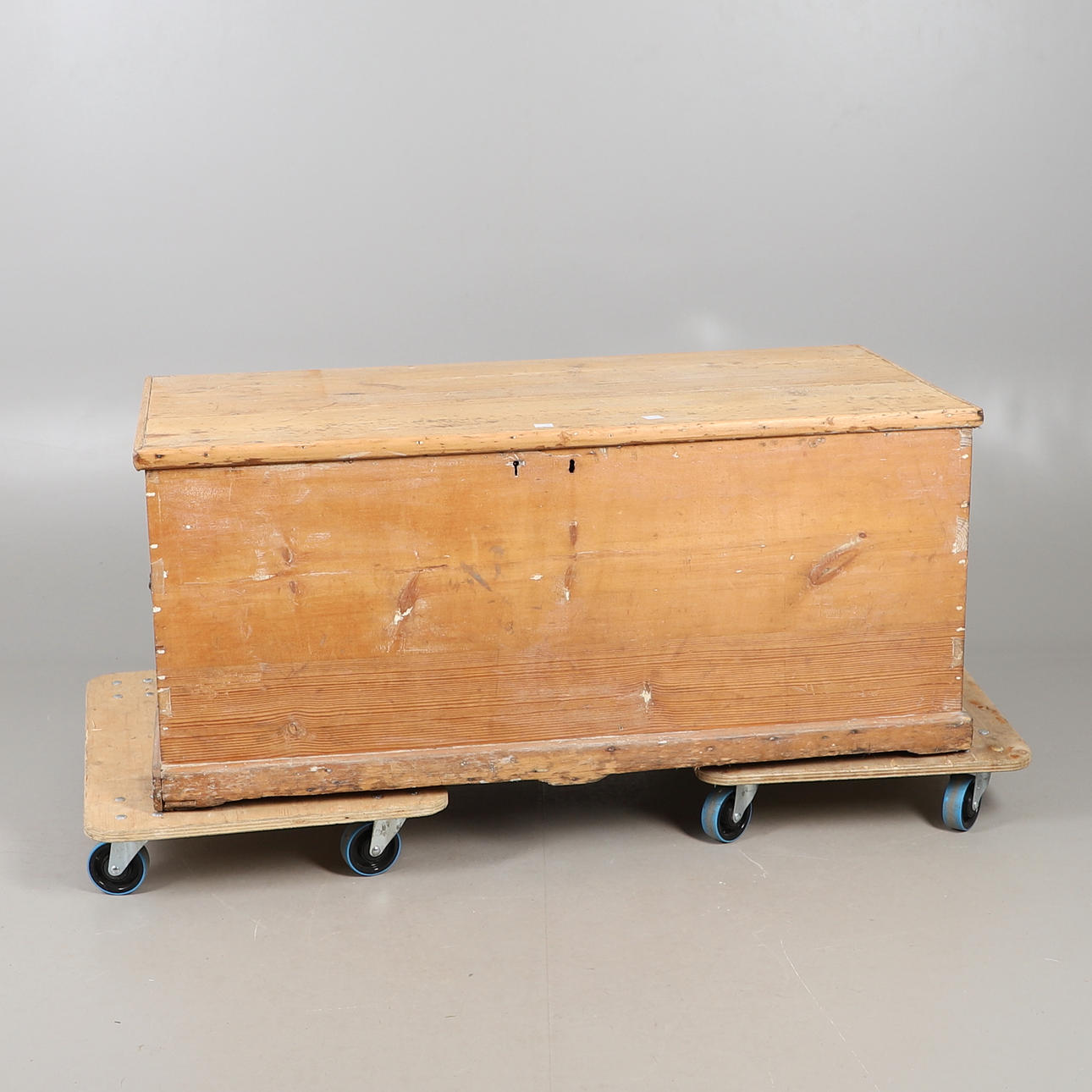 LARGE STRIPPED PINE TRUNK.