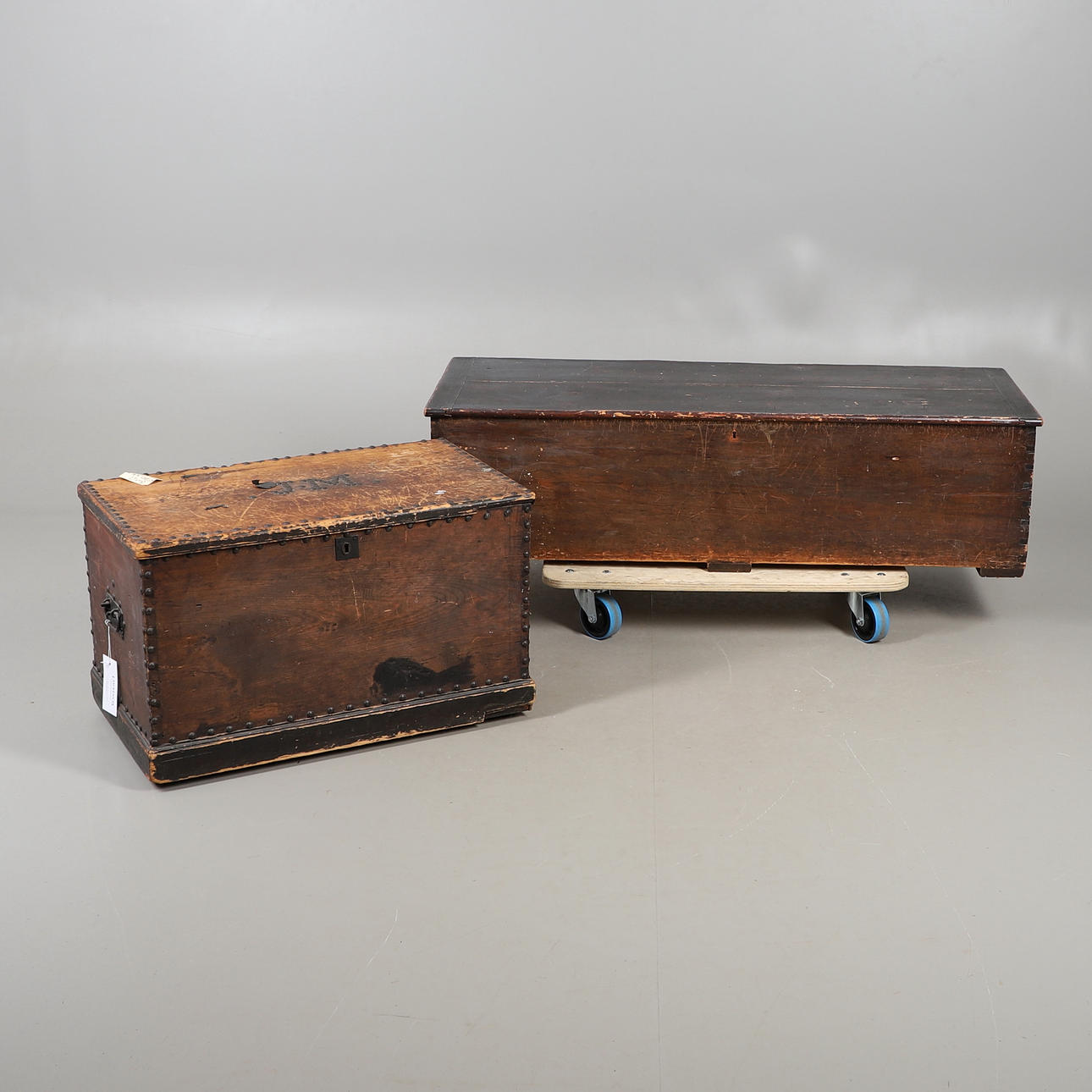 STUDDED PINE TRUNK WITH ANOTHER.