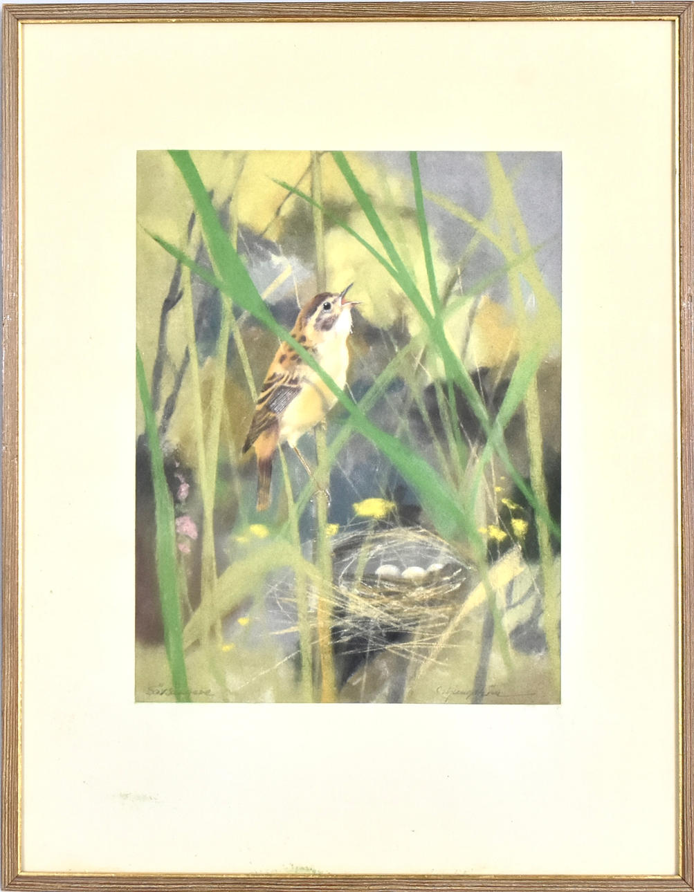 CARL LJUNGSTRÖM. Pastel.