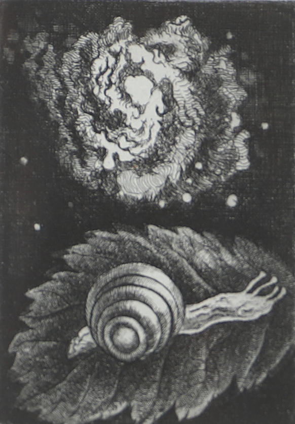 HOLGER BÄCKSTRÖM. Shell and spiral galaxy, etching, signed.