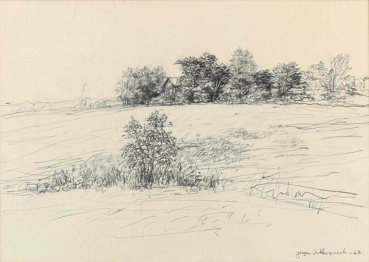 JÖRGEN ZETTERQUIST. Landscape.