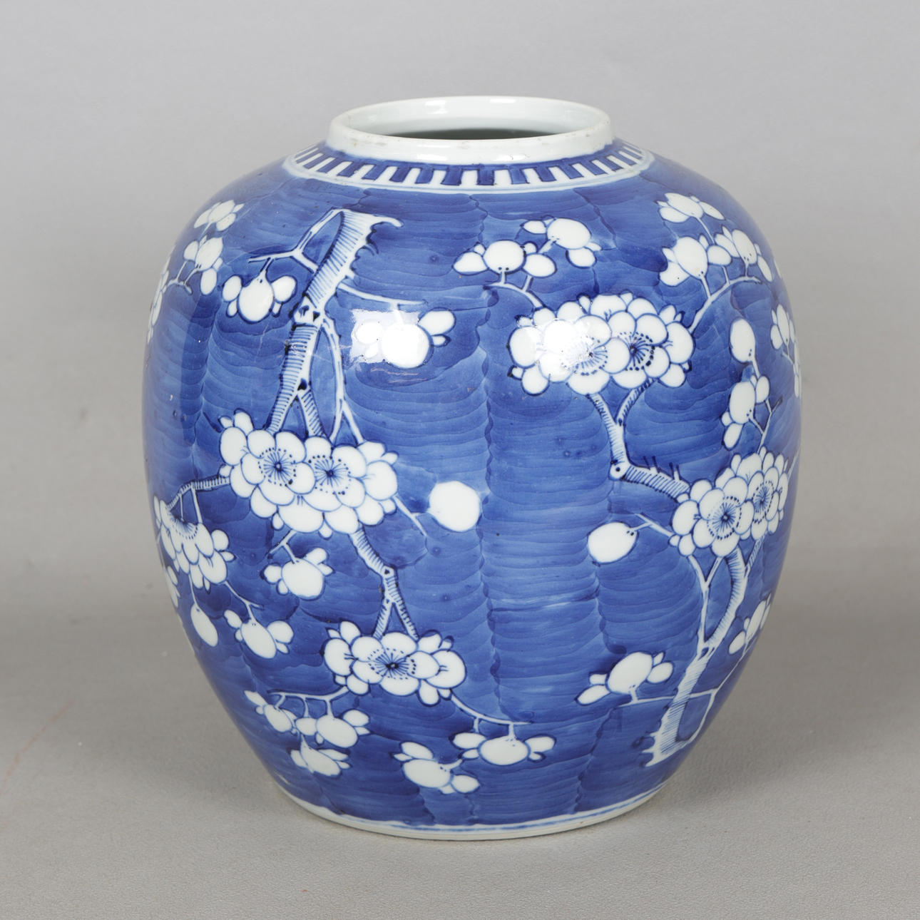 A CHINESE QING DYNASTY PRUNUS JAR.
