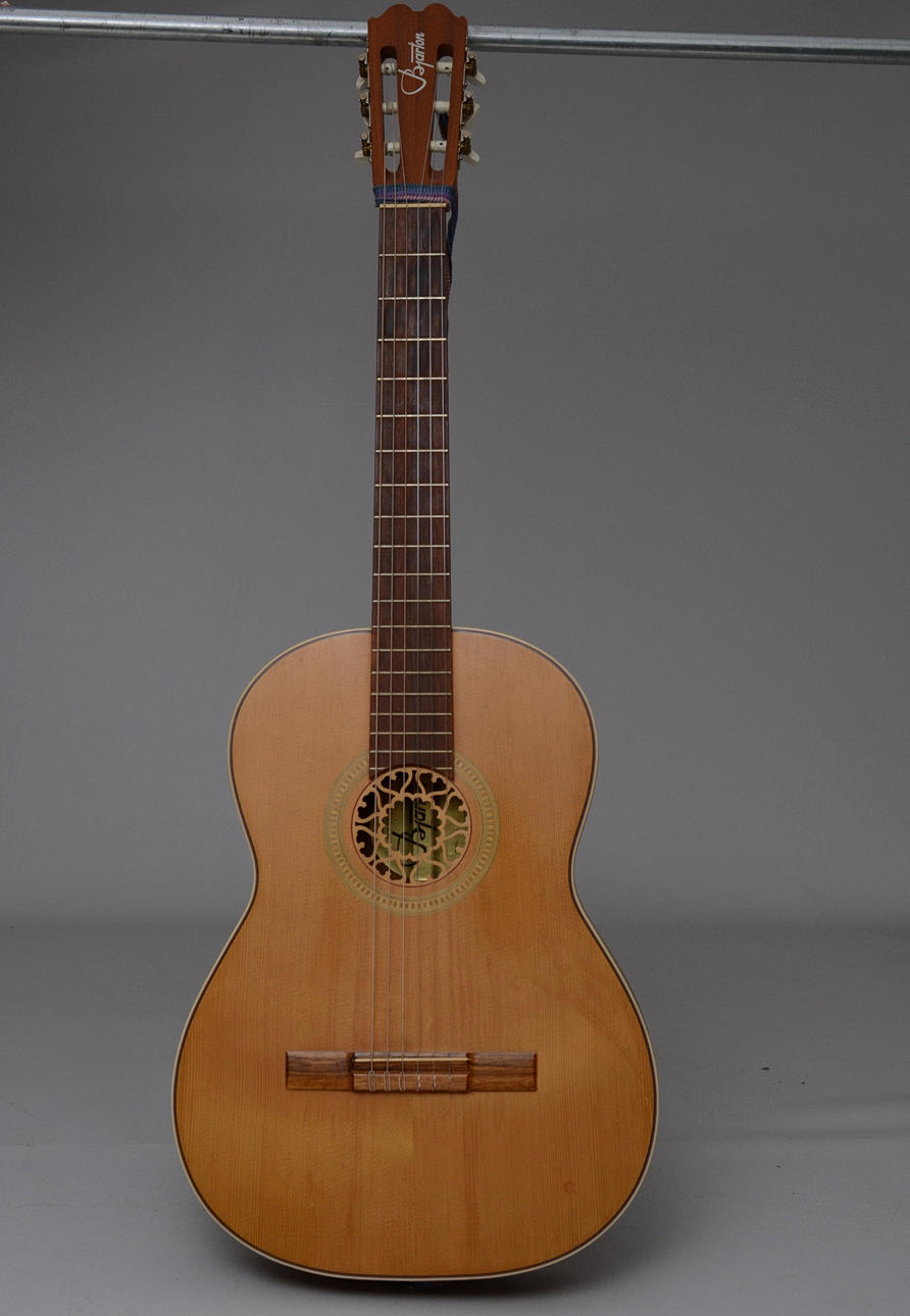 GITARR, Bjärton Sverige.
