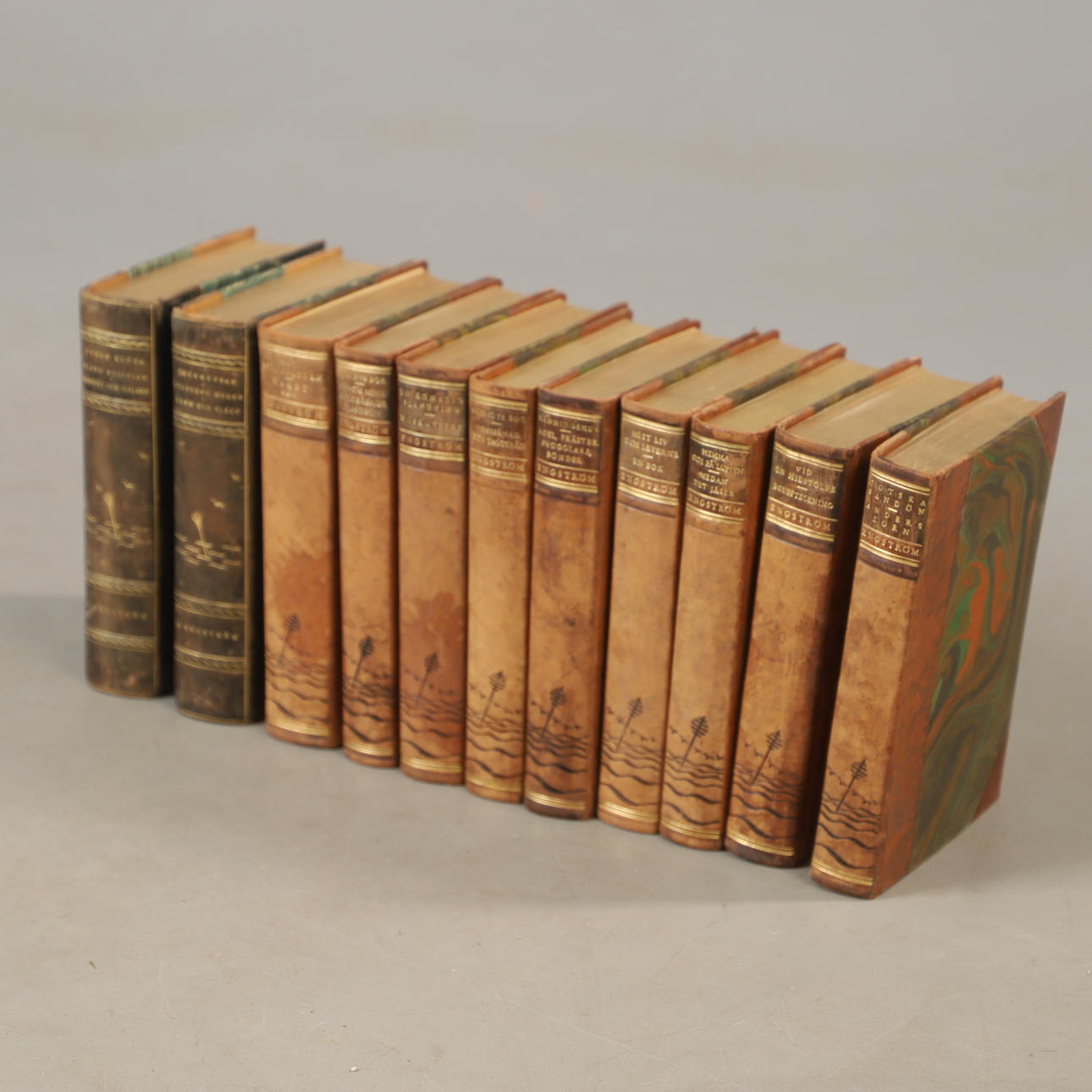 BOOKS, approx. 11 leather bands, Albert Engström.