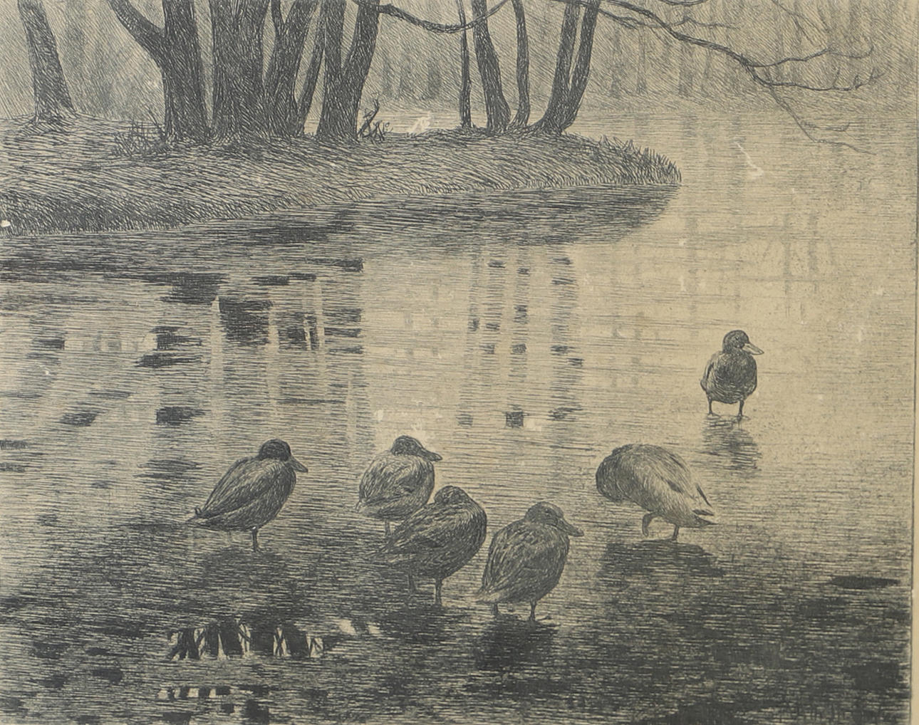 OKÄND KONSTNÄR. Seascape with ducks, etching, unsigned.