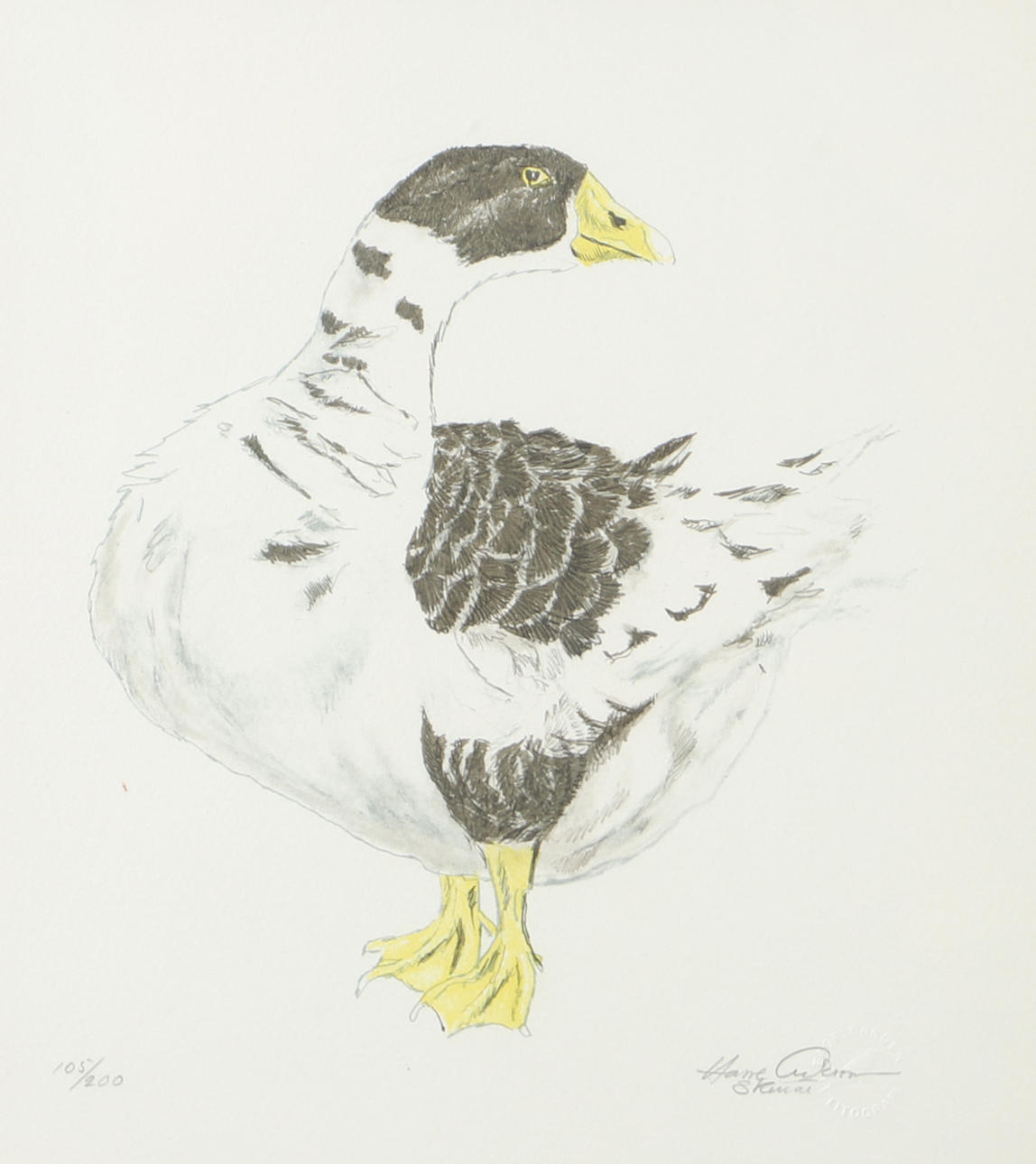 HASSE ANDERSSON. Goose, colour lithograph, signed.