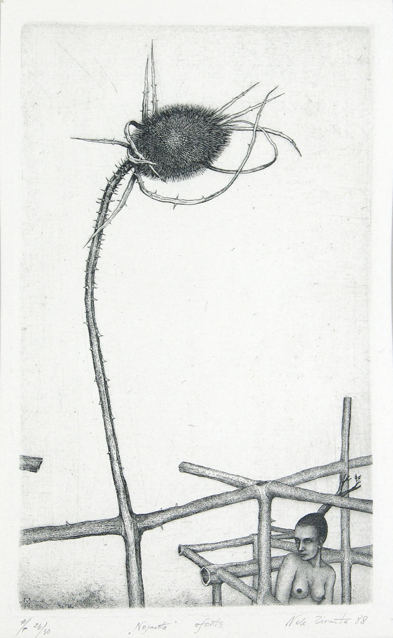 NELE ZIRNITE. ”Nojauta o Nogauta”. Kvinnlig naken med en blekt tistel.