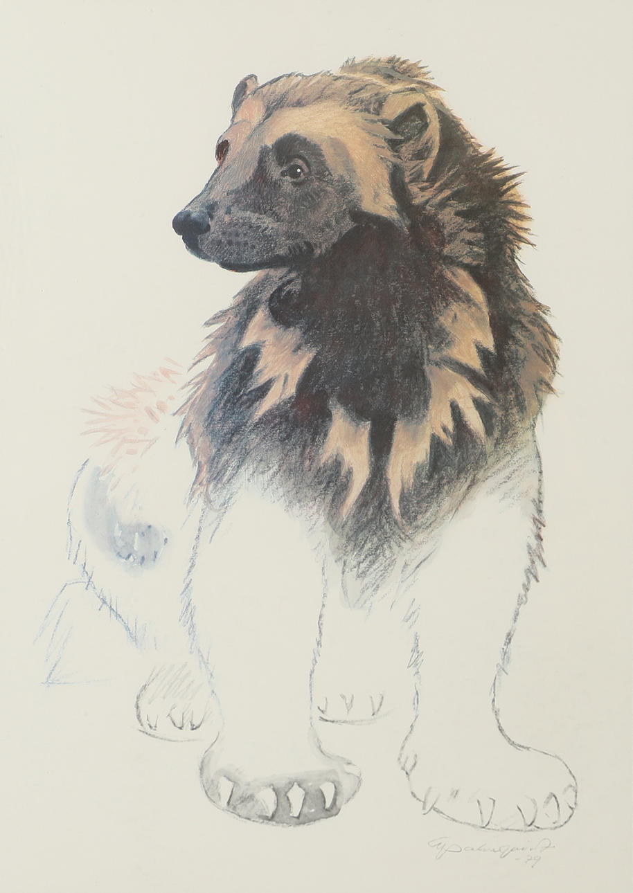 ERIC PALMQUIST. Wolverine, graphic print, E. Palmquist-79.