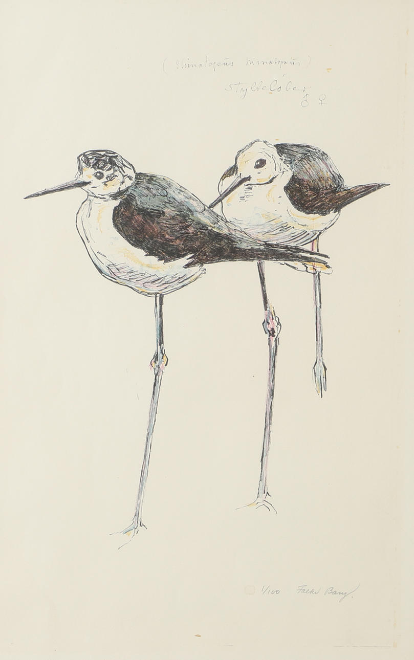 FALKE BANG. Birds, colour lithograph, signed.
