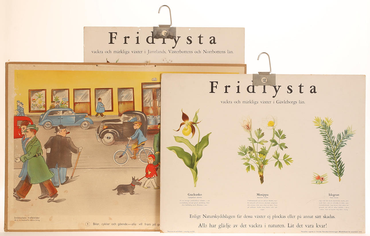 SCHOOL CHARTS, 3 pieces.