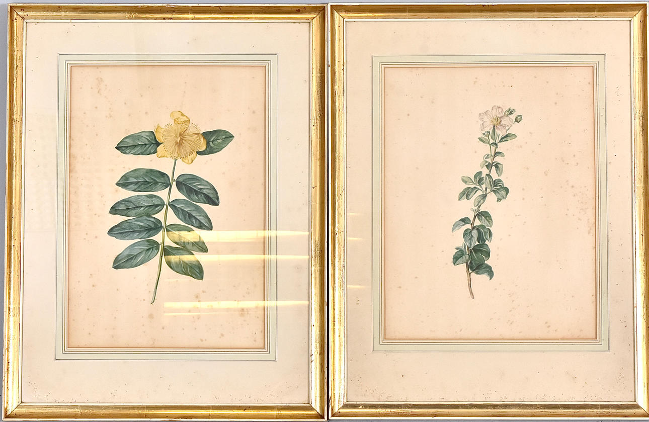WATERCOLOURS, 2 pcs, 19th century.