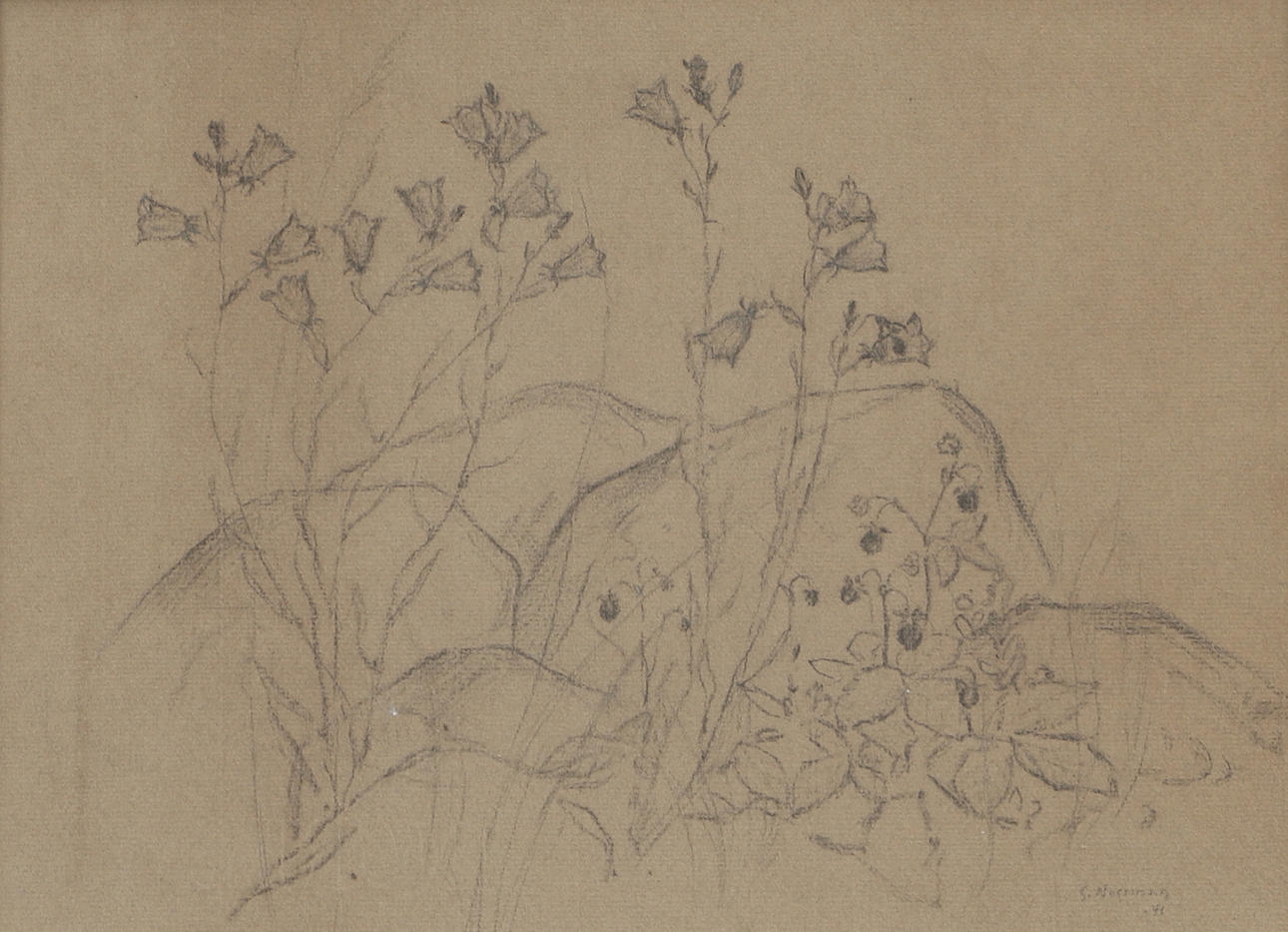 GUNNAR NORRMAN. Pencil drawing, vegetation, signed, dated.