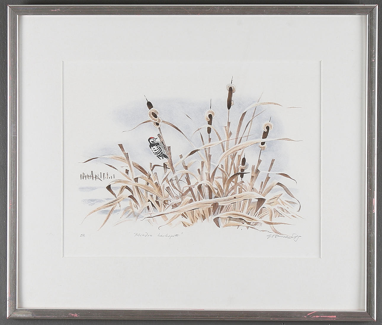 GUNNAR BRUSEWITZ. Hackspett i vassen, färglitografi, signerad, märkt "EA".