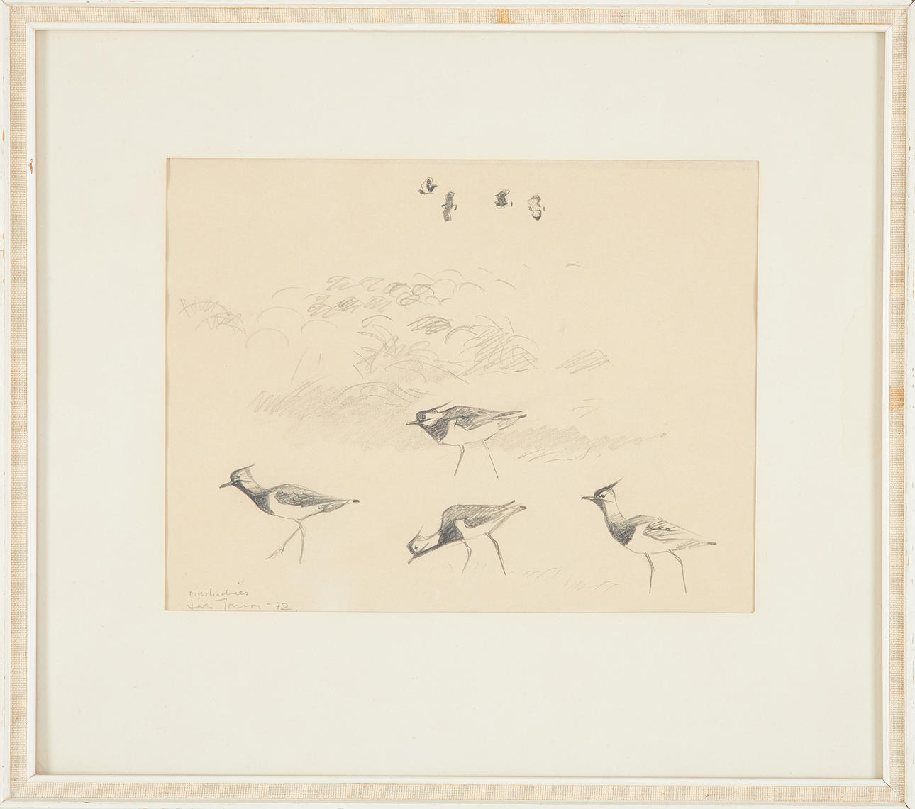 LARS JONSSON. Northern lapwings, pencil on paper, signed, dated -72.