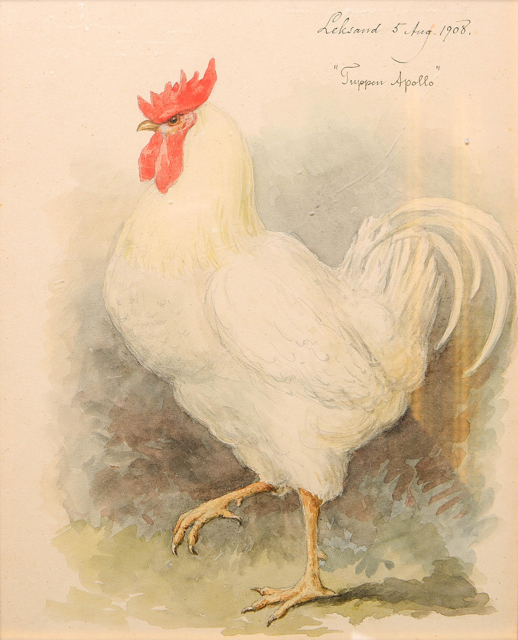OIDENTIFIERAD KONSTNÄR. "Tuppen Apollo", watercolour, Leksand, dated 1908.