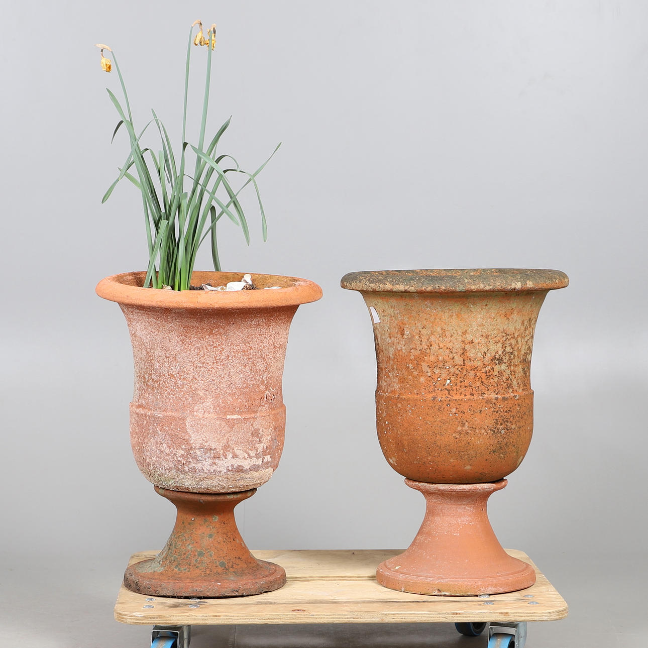 TWO TERRACOTTA URN PLANTERS.