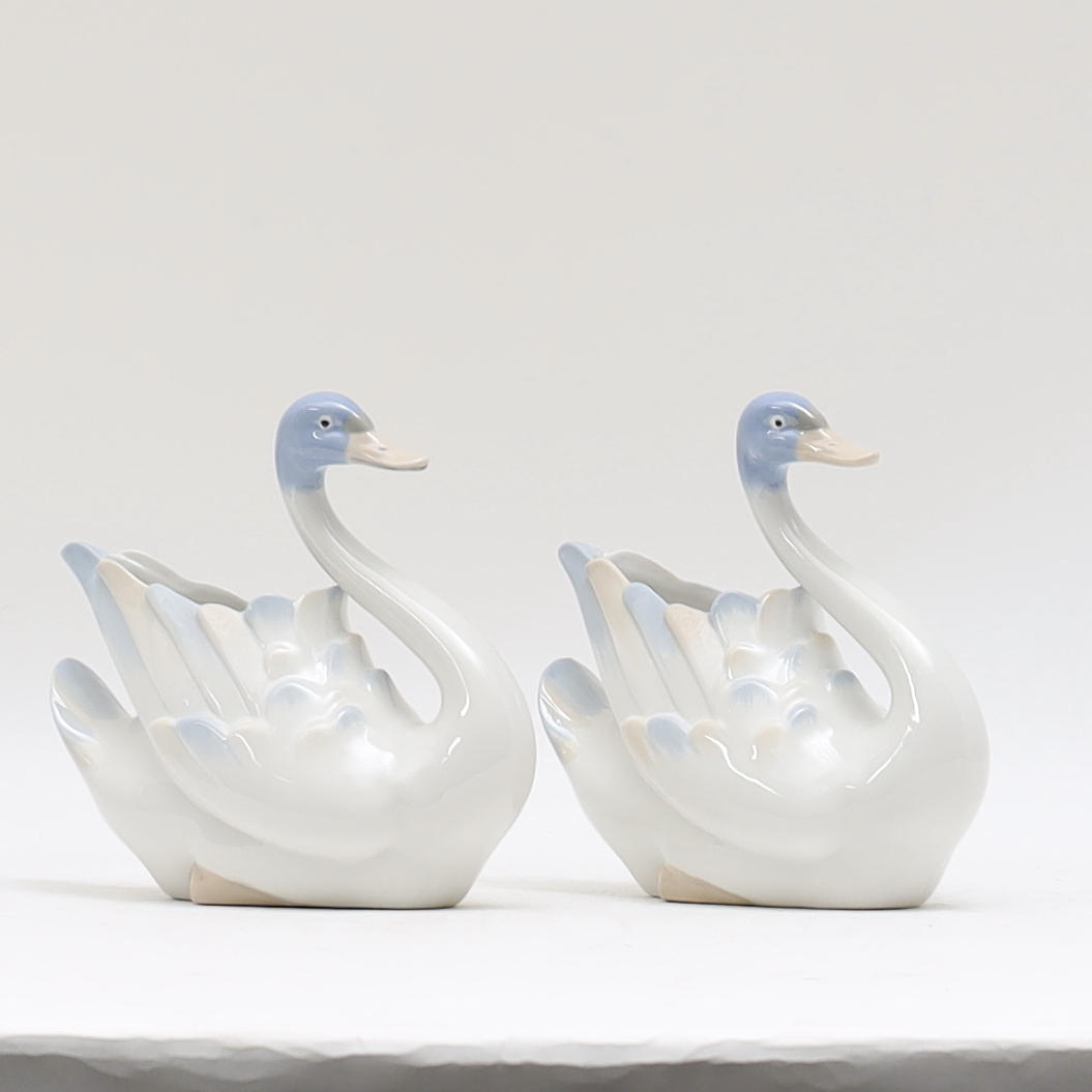 SWANS, a pair, Rex, Spain.