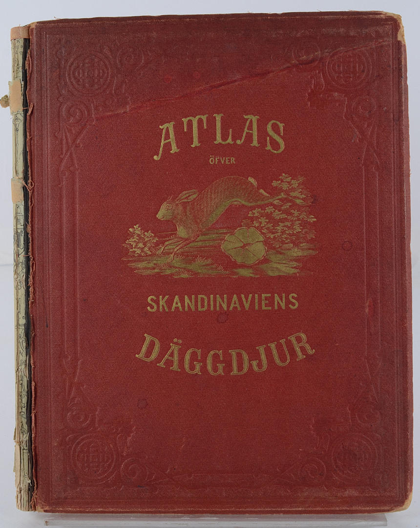 W. MEVES & A. E. HOLMGREN. Atlas öfver Skandinaviens däggdjur.