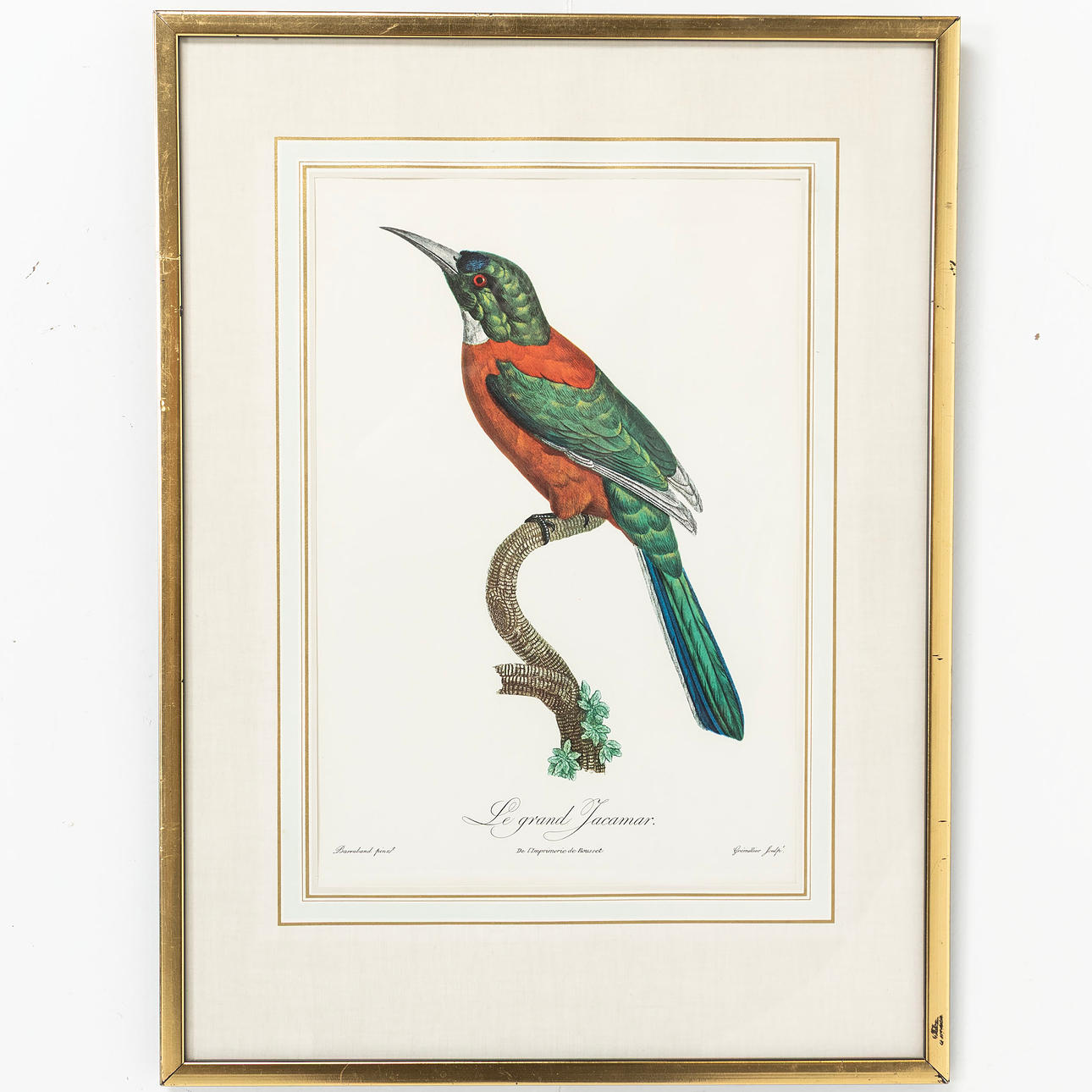 JACQUES BARRABAN, " Le Grand Jacamar ".