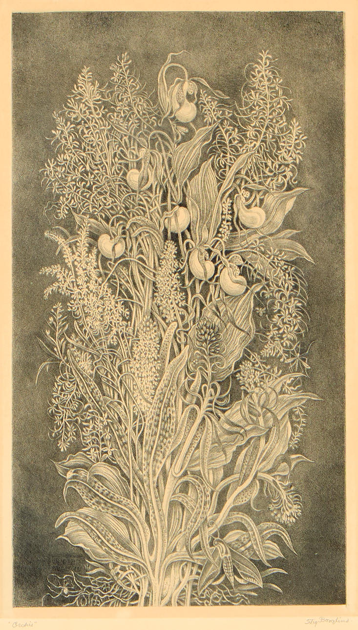 STIG BORGLIND. "Orchis", 1948.