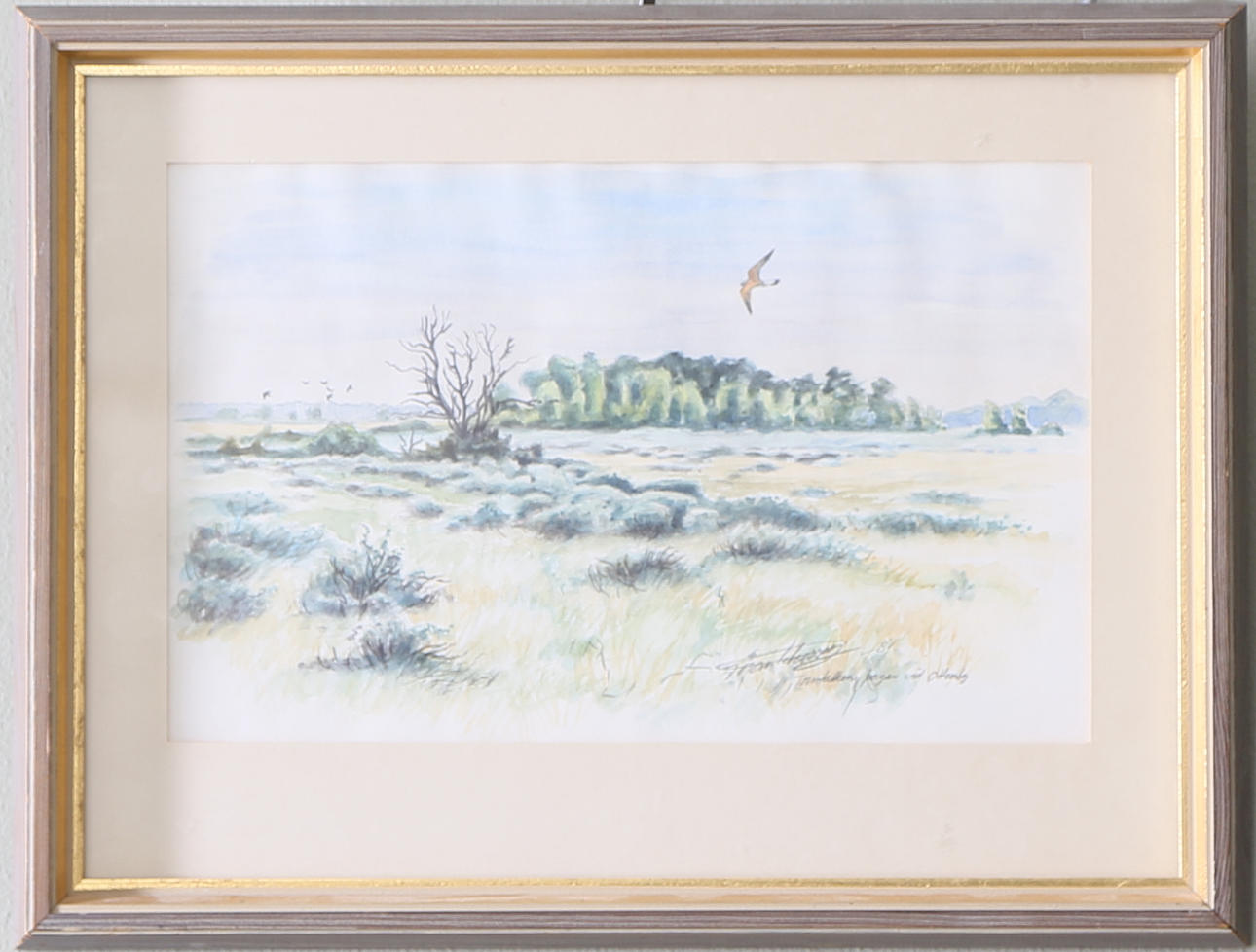 GÖRAN PETERSSON. "Tornfalken jagar vid Ottenby", akvarell, signerad och daterad -81.