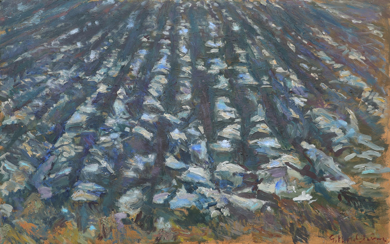 GERHARD NORDSTRÖM. PLOUGHED FIELD.