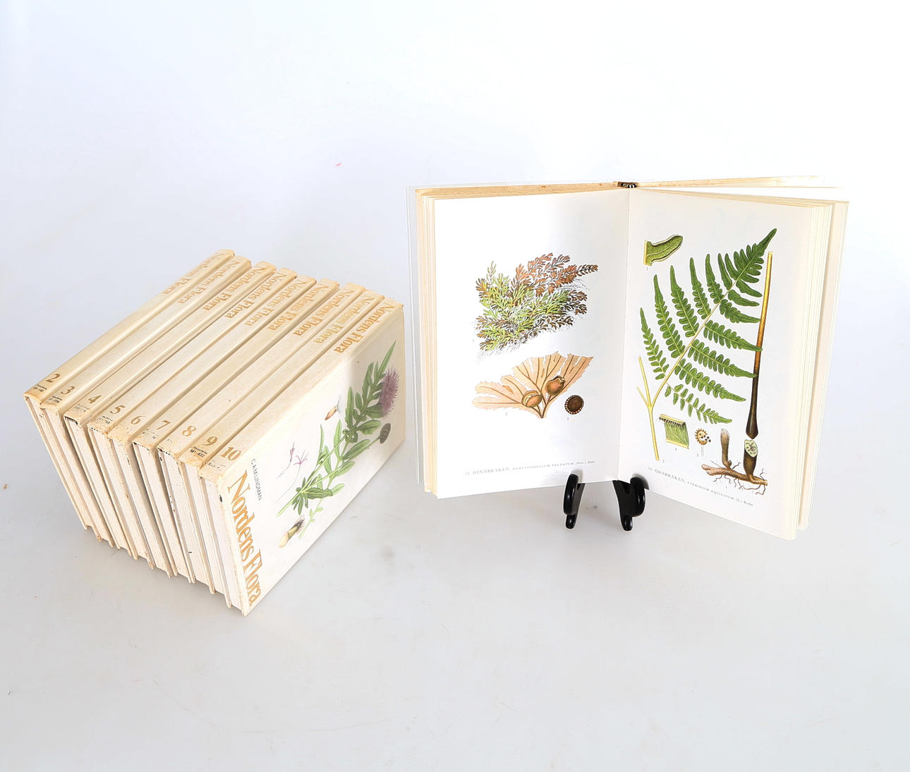 BÖCKER, 10 st, Nordens Flora, C.A.M Lindman, Wahlström & Widstrand, 1974.