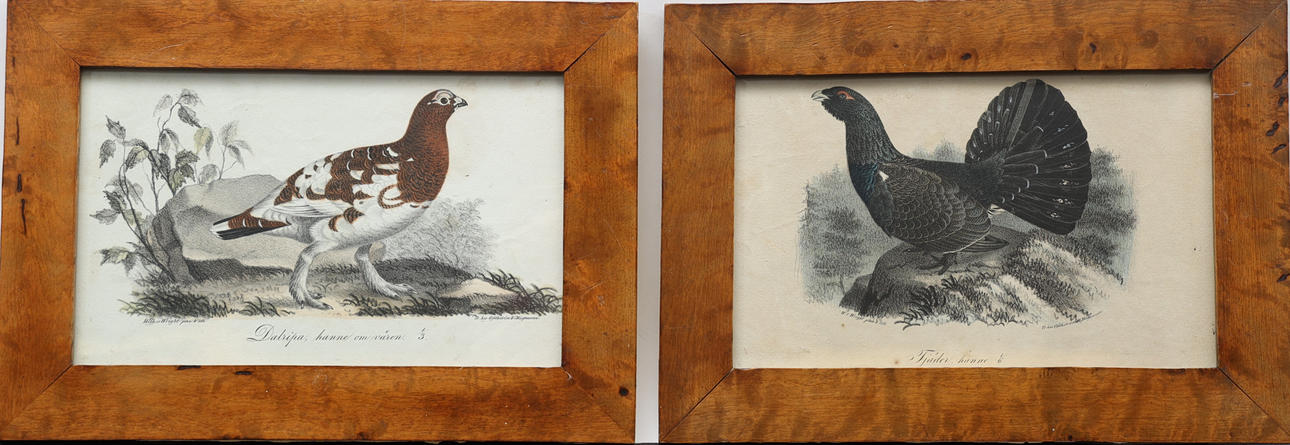 GRAFISKA BLAD, 2st, efter von Wright.