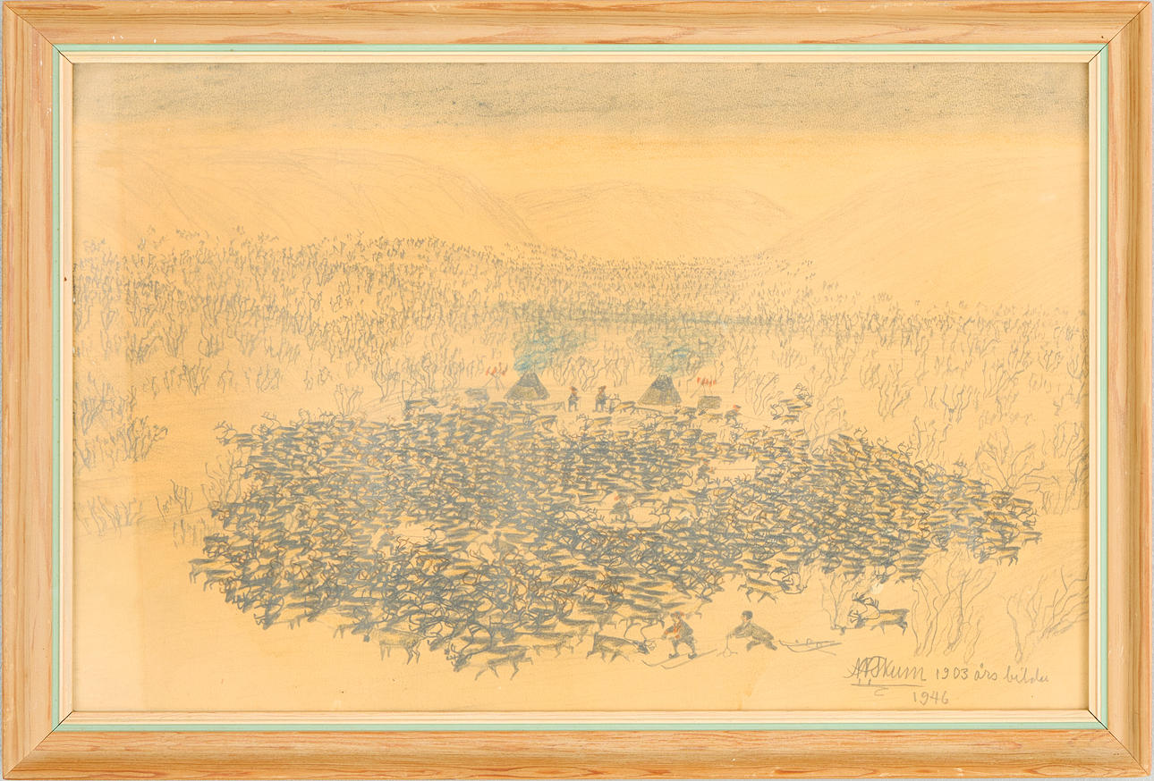 NILS NILSSON SKUM. Reindeer herd.