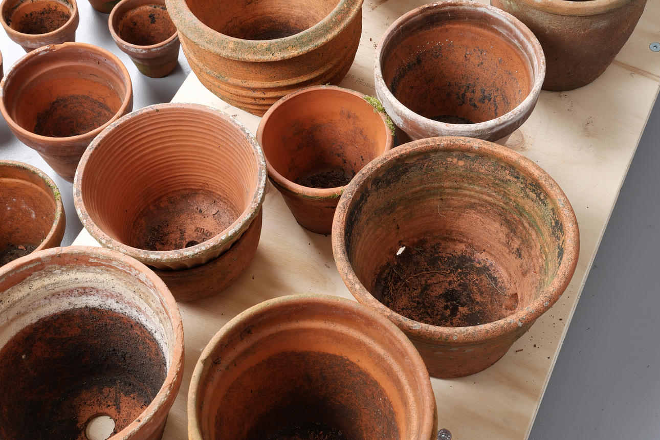 24 TERRACOTTA PLANT POTS. Garden & Architectural - Garden - Auctionet