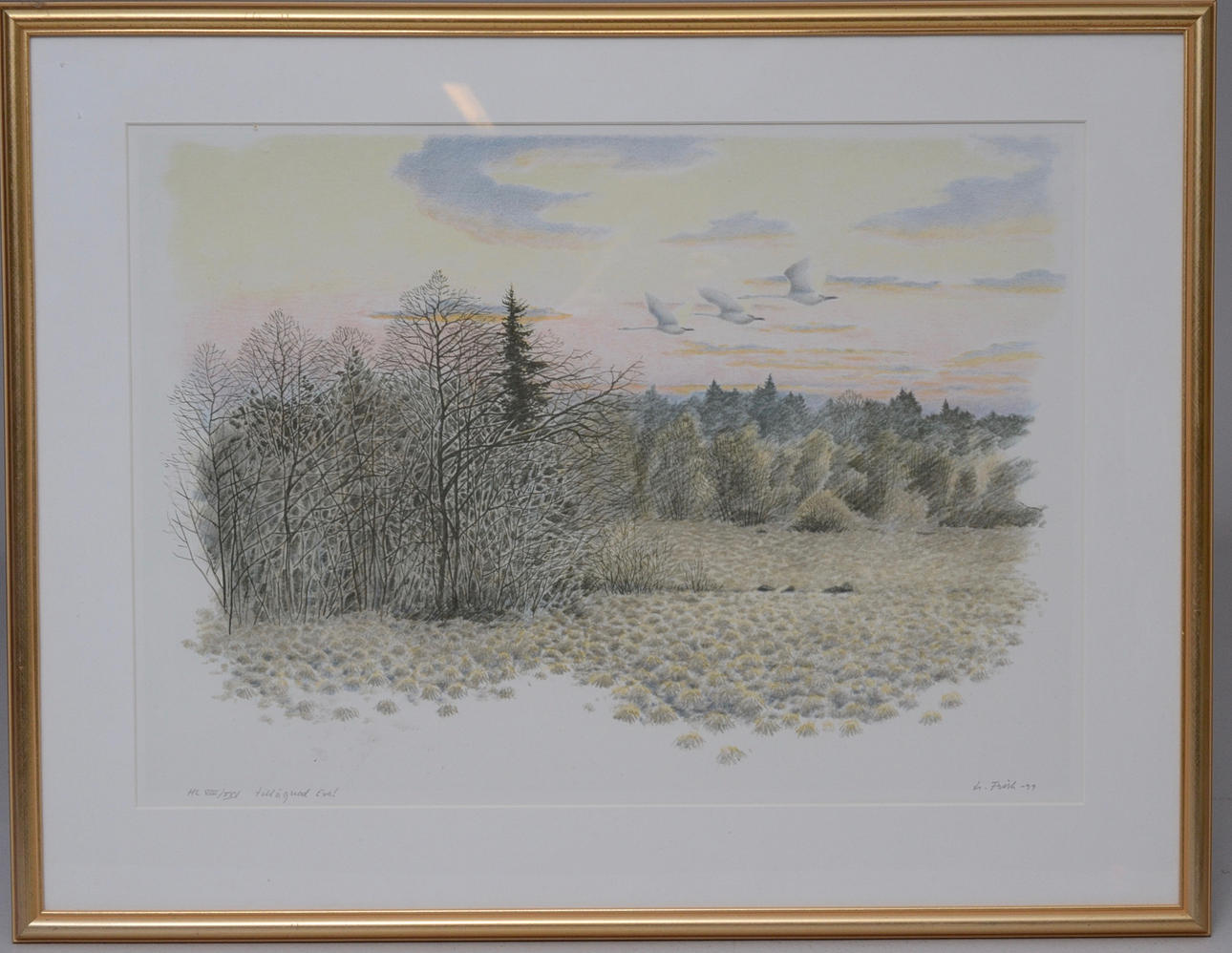 LENNART FRISK. STRÄCKANDE SVANAR.