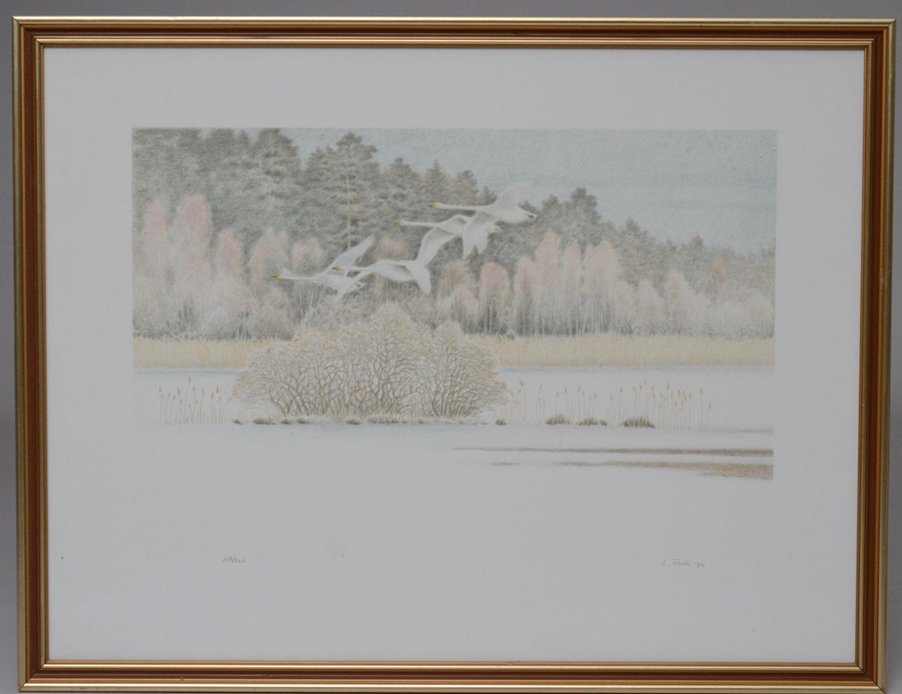 LENNART FRISK. STRÄCKANDE SVANAR.