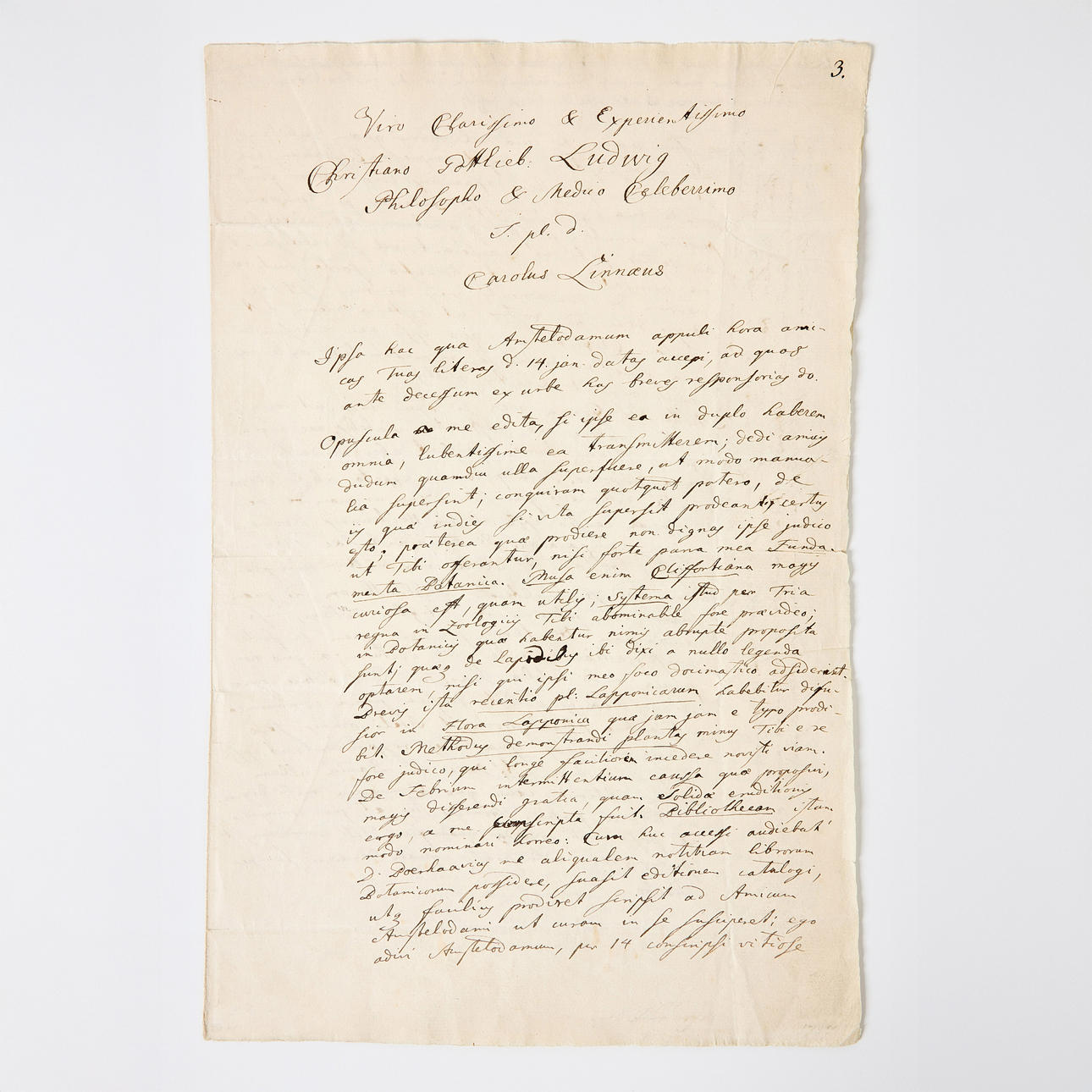 LINNAEUS'S AUTOGRAPH LETTER TO C. G. LUDWIG, 1737. Böcker, Kartor ...