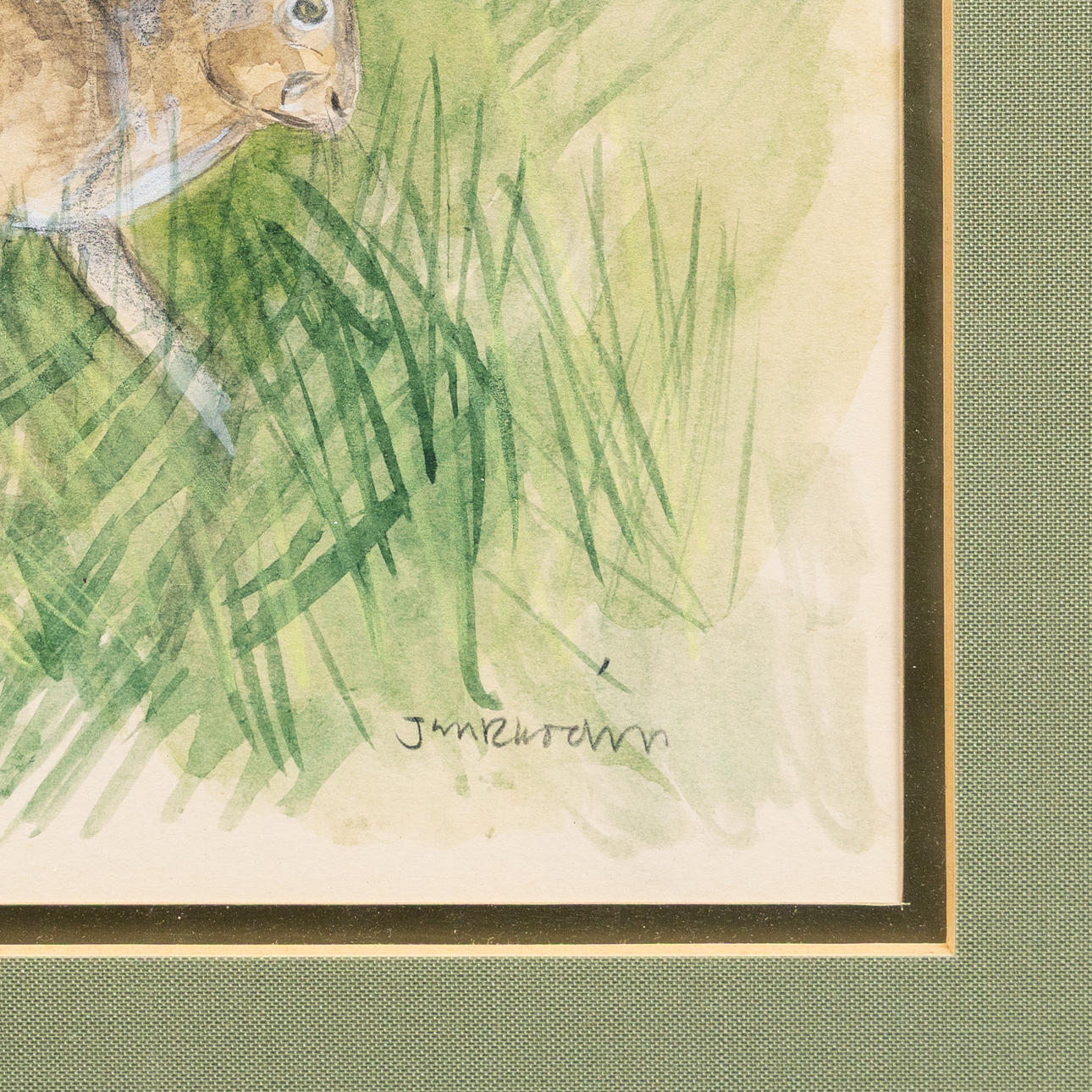 JAN RHODIN (1938-2022). Hare, akvarell, signerad. Konst - Måleri ...