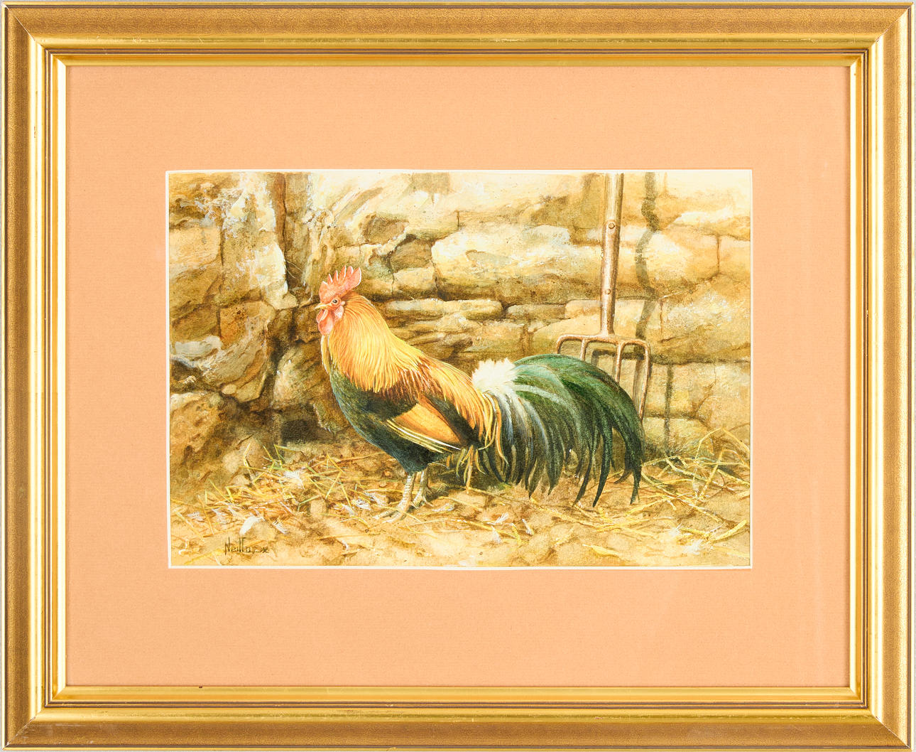 NIEL COX. Rooster, watercolour.