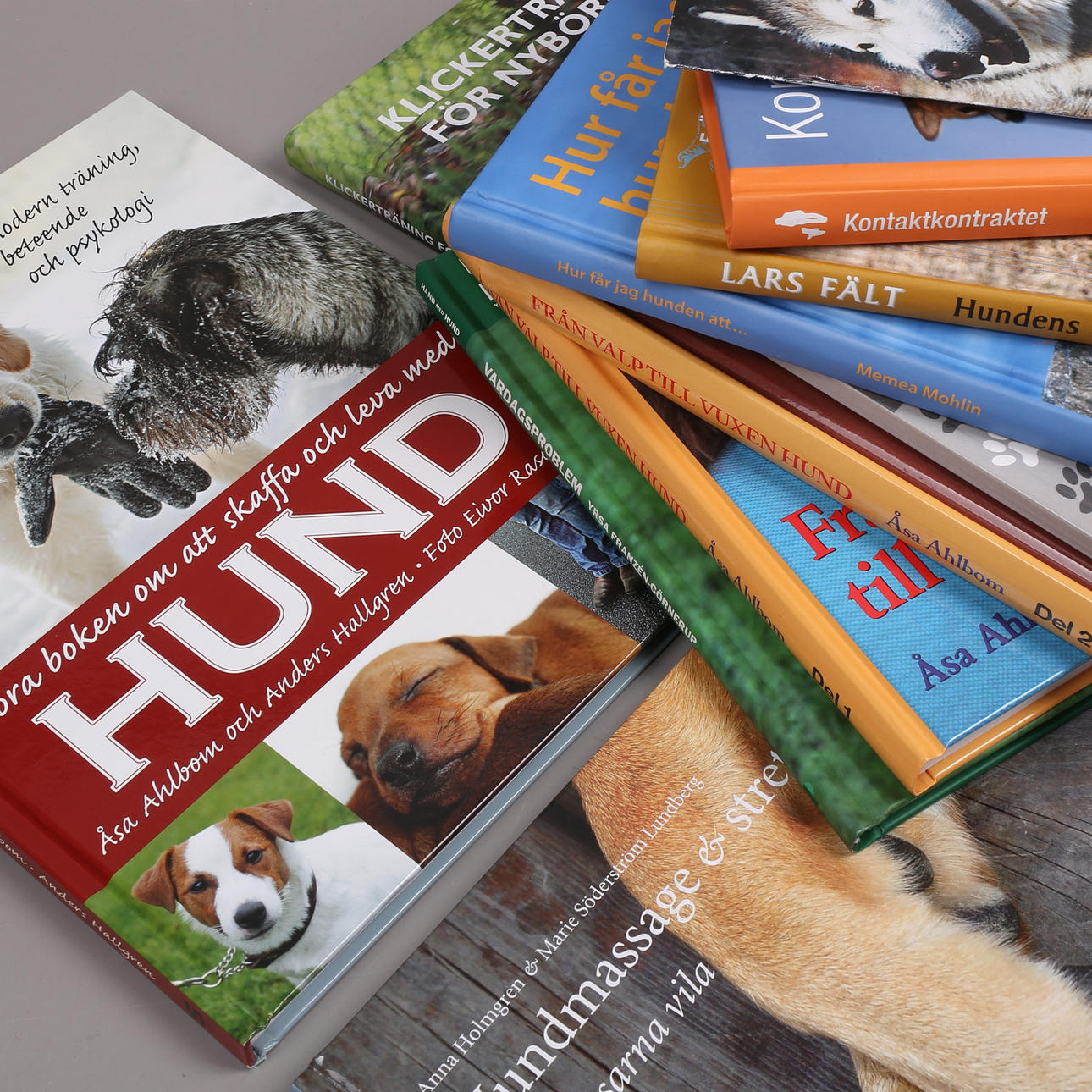 BOOKS, 12 pcs, dogs.