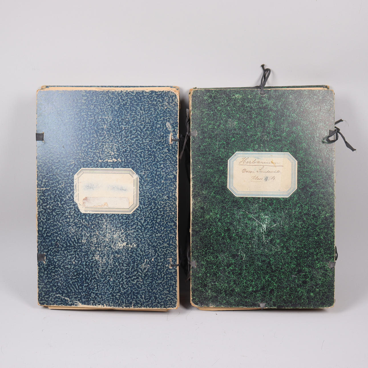 HERBARIUM, 1920-tal, 2 st.