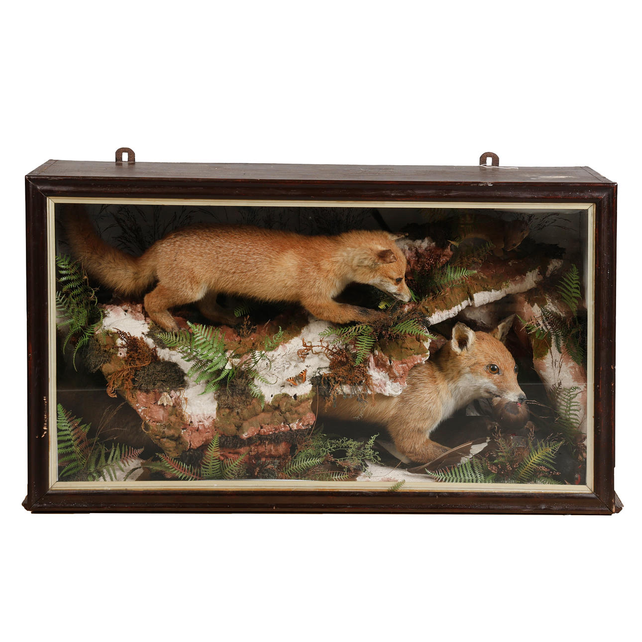 A VICTORIAN TAXIDERMY GROUP WITH TWO FOXES.