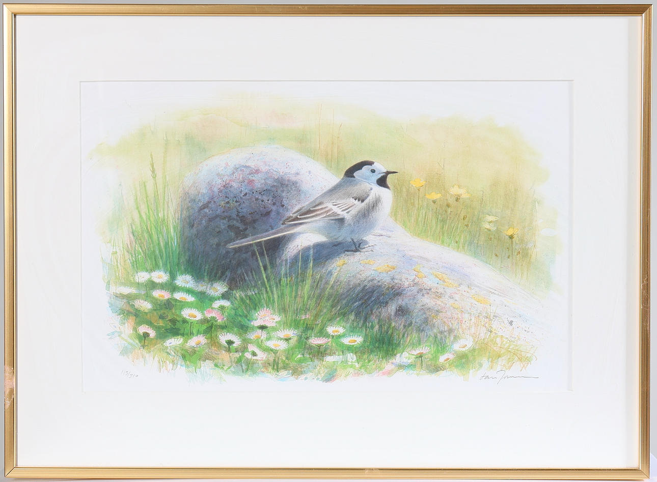 LARS JONSSON. White wagtail, lithograph, signed and numbered 113/310.