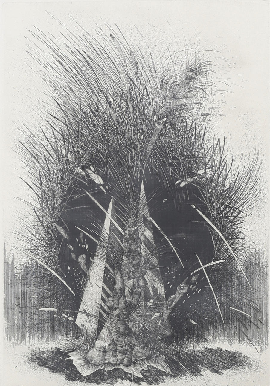 OIDENTIFIERAD KONSTNÄR. "The third pyramide", etsning, signerad, daterad 88.
