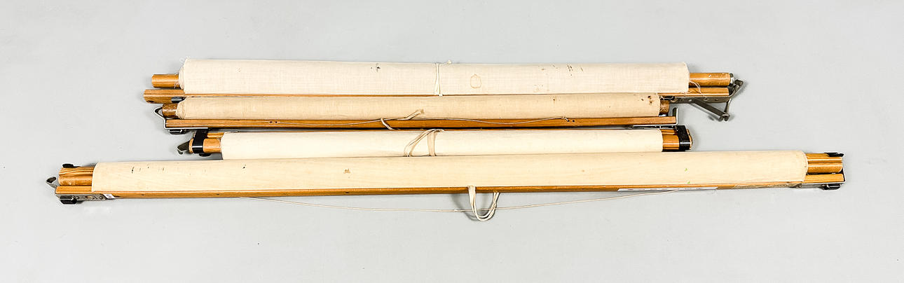 ANATOMISKA AFFISCHER, 4 st, 1900-tal.