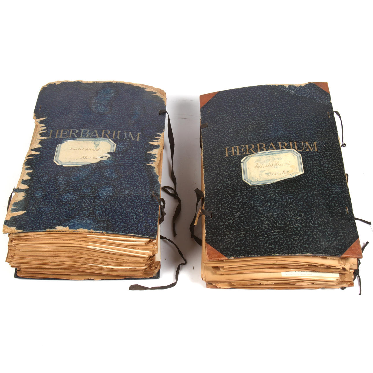 HERBARIUM, 2 pärmar. 1940-tal.