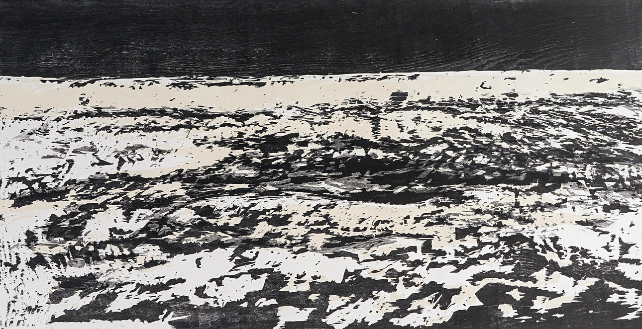 LARS LERIN. Arktiskt landskap, 2005.