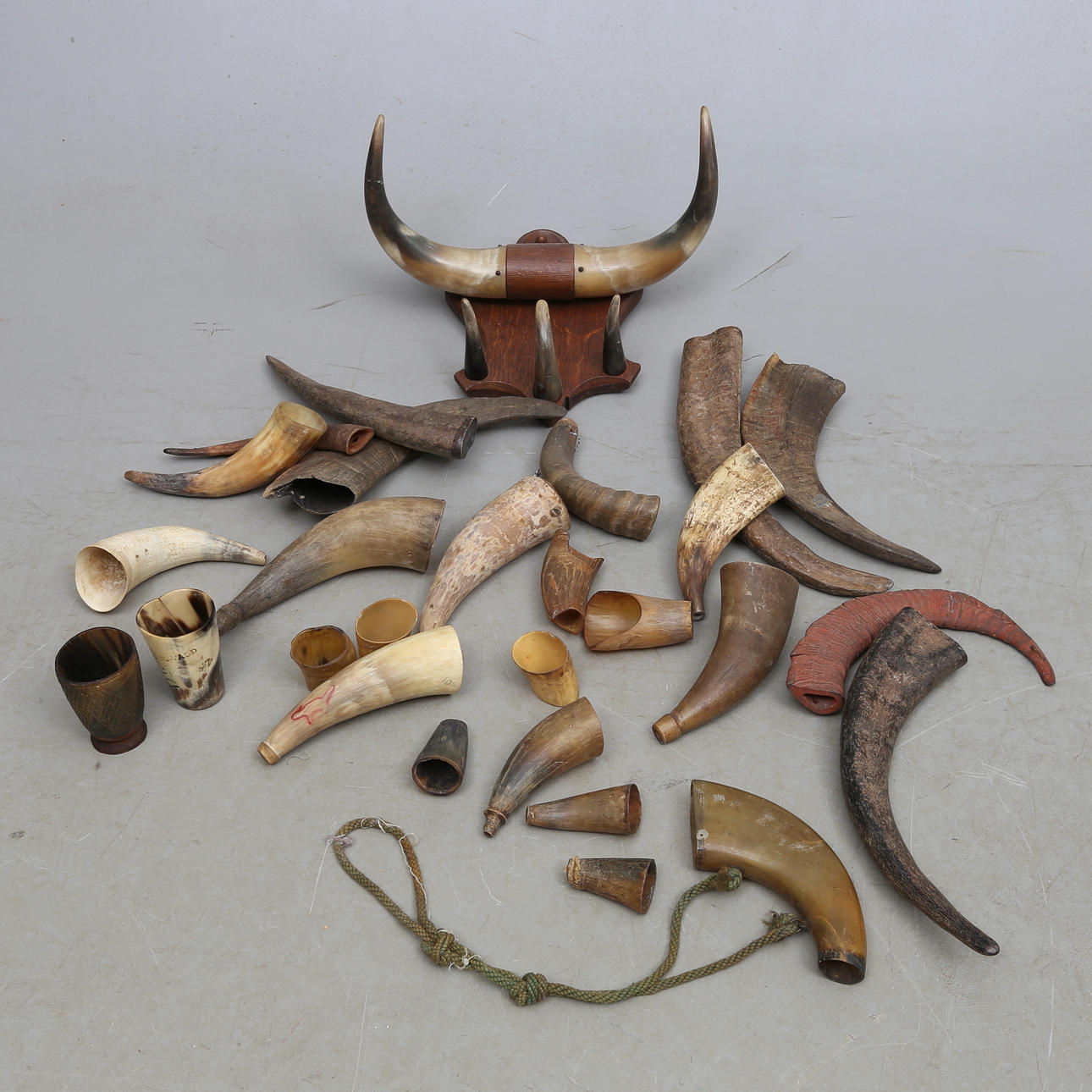 PARTI HORN.