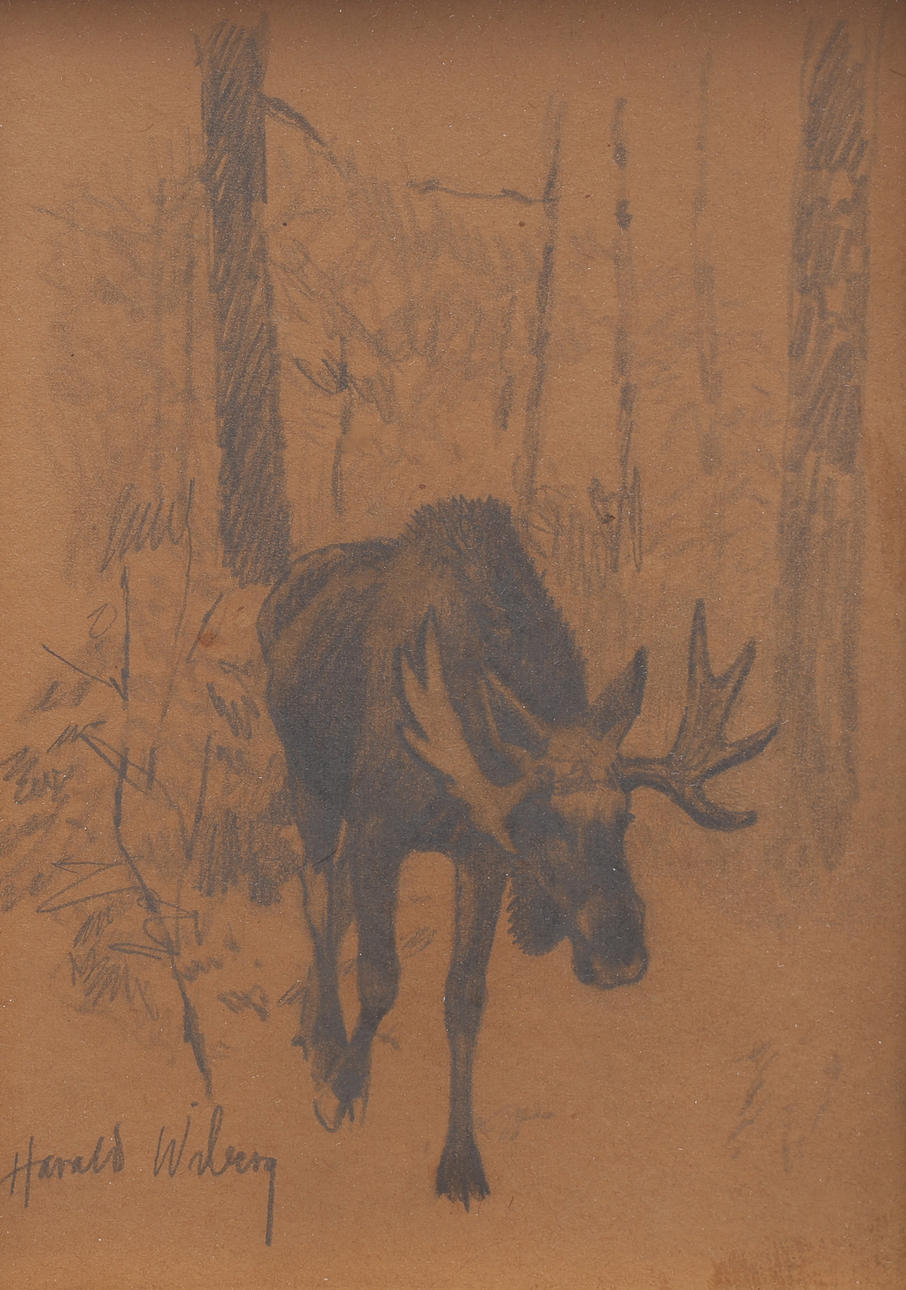 HARALD WIBERG. GRAPHITE ON PAPER, MOOSE, SIGNED.