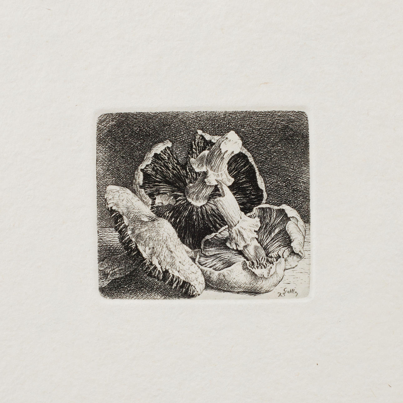 FOLKE GULLBY. Grafiska blad, 5 st.